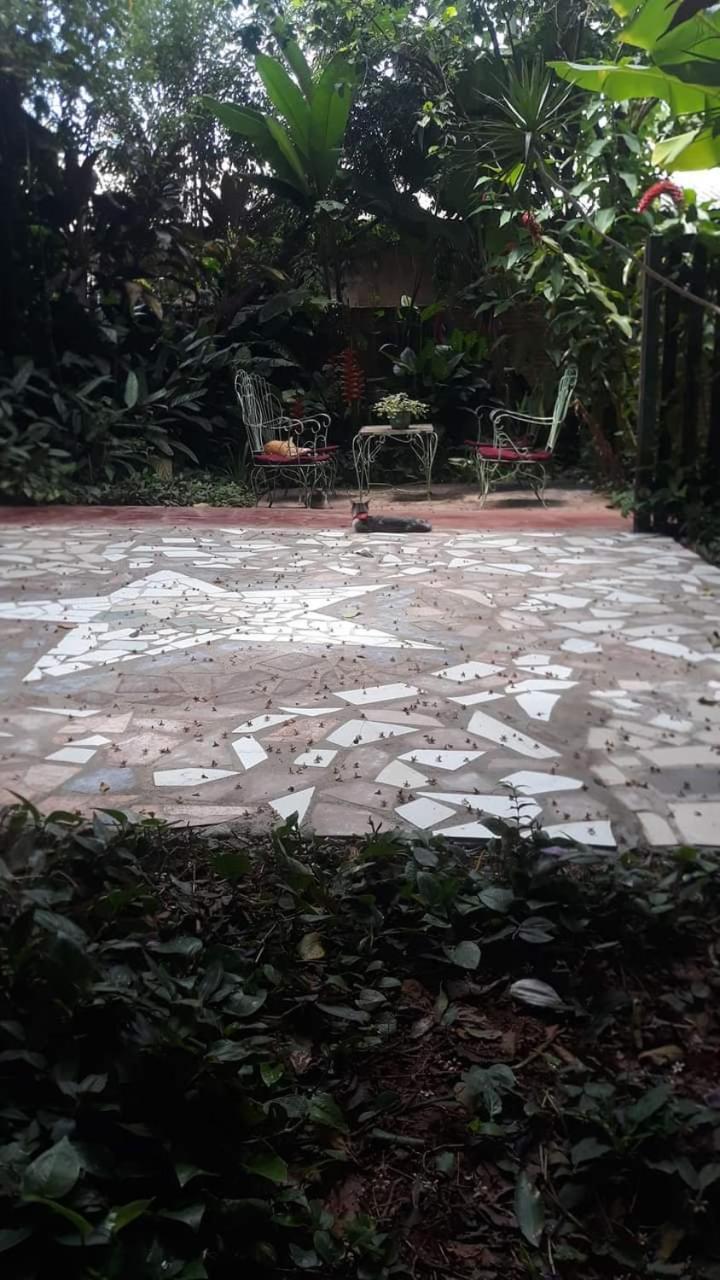 Posada Maria Iguazu Puerto Iguazu Exterior photo